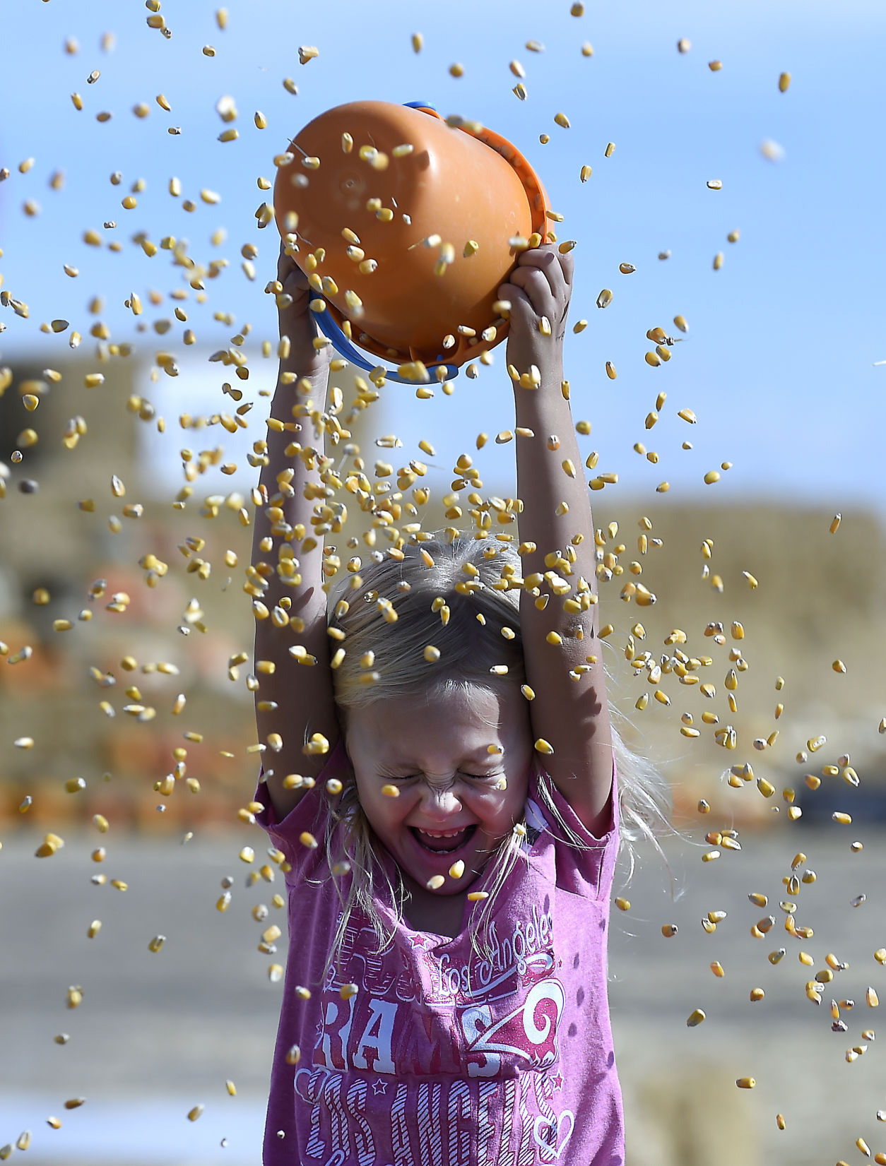 Twin Falls Corn Maze